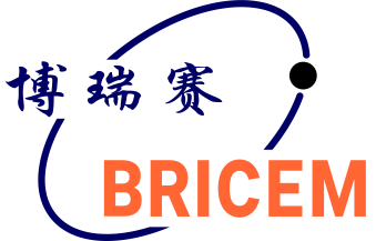 BRICEM